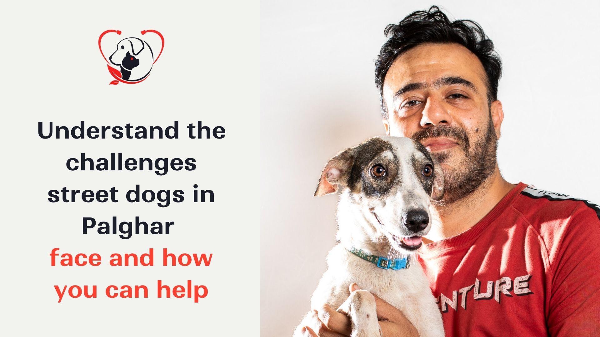 Challenges-faced-by-street-dogs-in-palghar