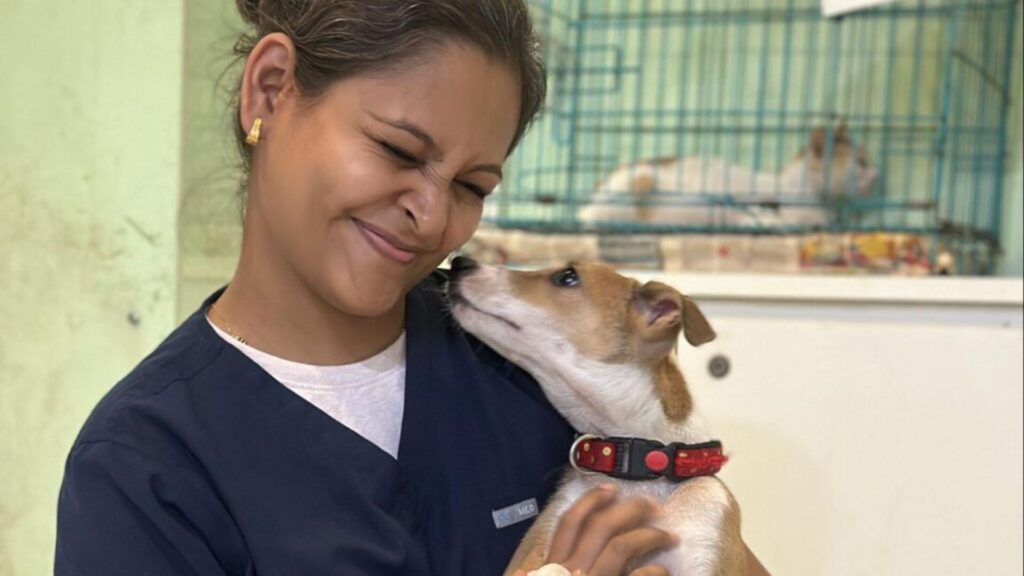 Dog Welfare India caregiver gently comforting a rescued dog after medical care.