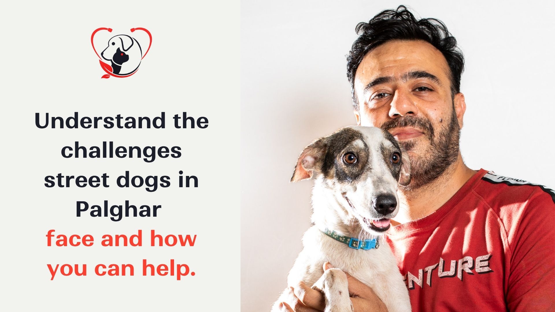 Challenges Faced by Street Dogs in Palghar & How You Can Help