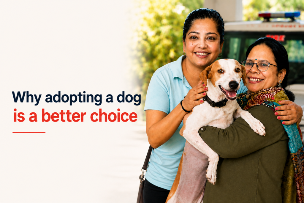 Man holding a rescued puppy, showing why adopting a dog in Palghar is better than buying one.